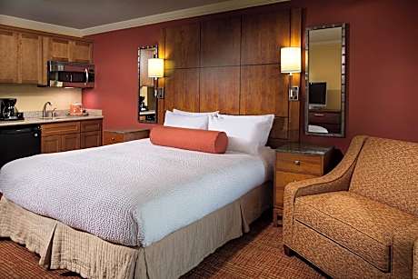 Studio, 1 King Bed