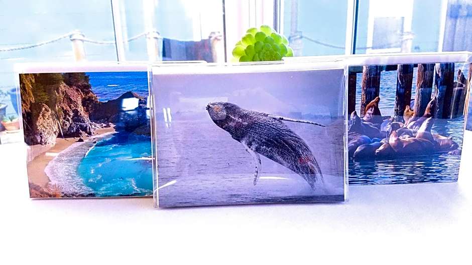 Captain's Inn at Moss Landing