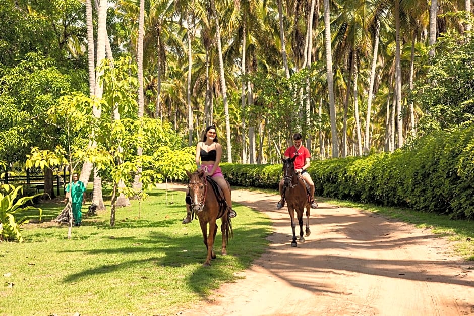 Pousada Paraíso dos Coqueirais