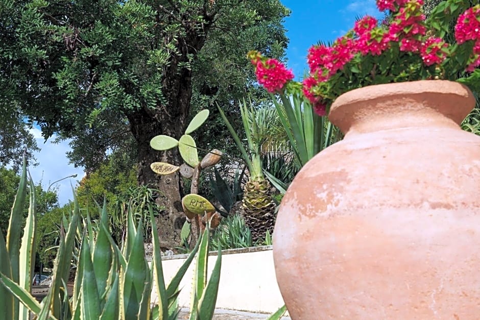 Hotel Villa Cheta Elite Restaurant