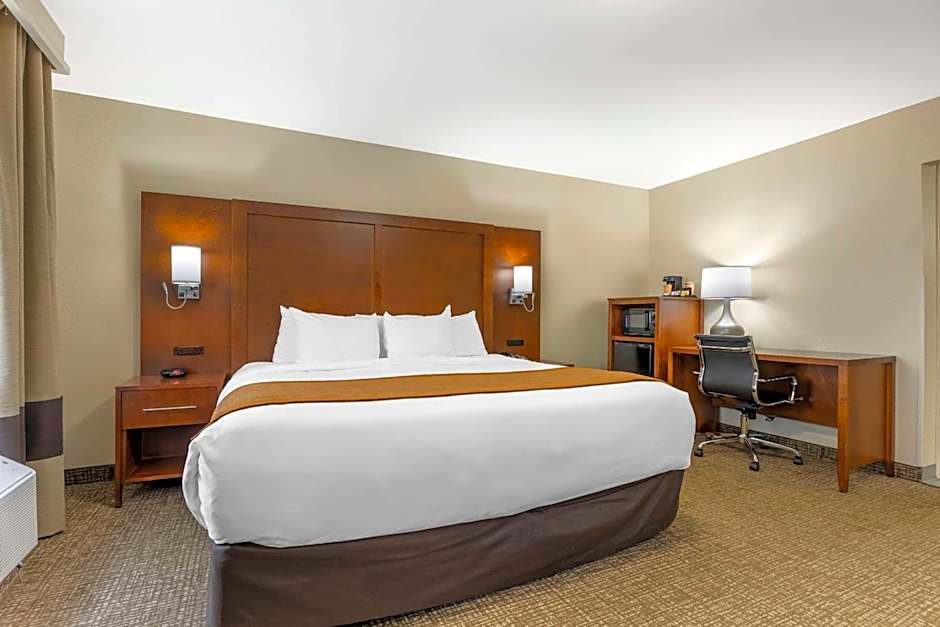 Comfort Inn South - Springfield