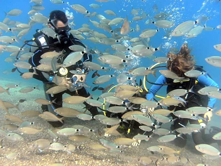 Kipriotis Panorama Hotel & Suites