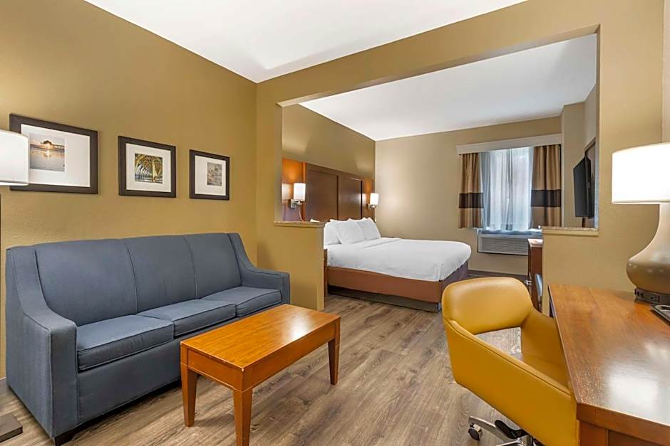 Comfort Suites At The University