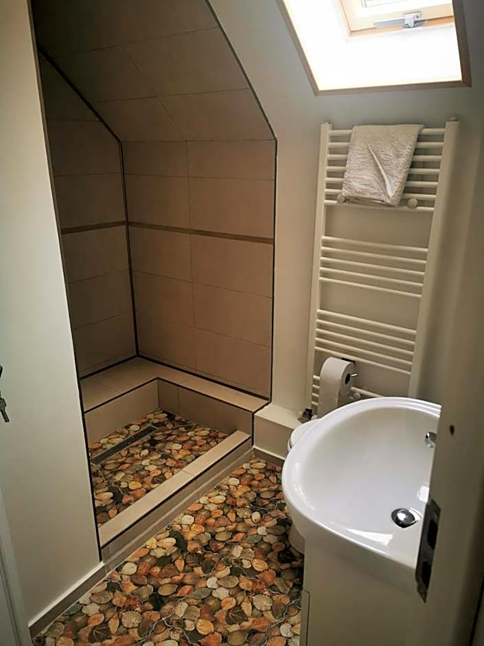 Cabana "Trei Brazi " Retezat