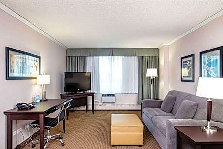 Premium Suite Kitchenette Queen