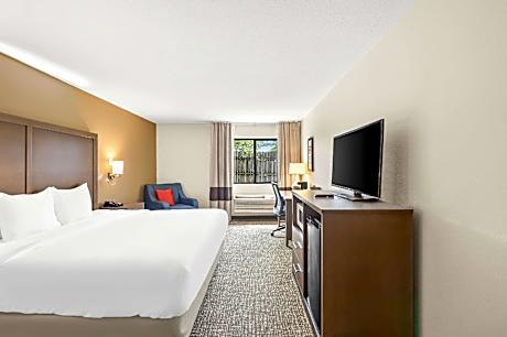 1 King Bed Nonsmoking