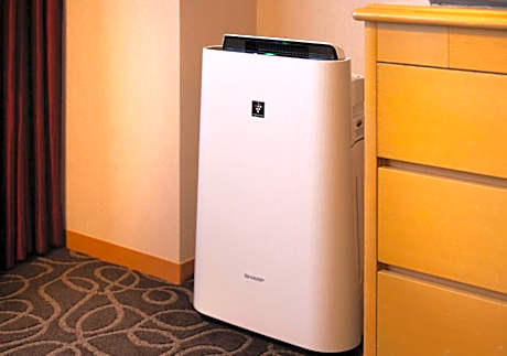 Japanese-Style Twin Room - Non-Smoking