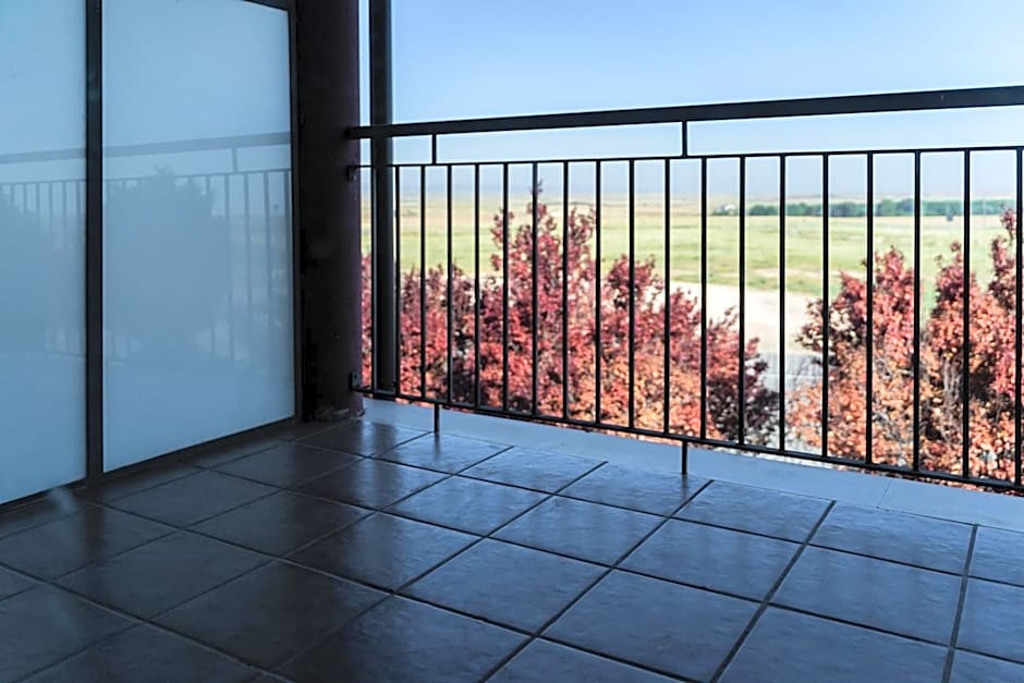 AS Monreal del Campo