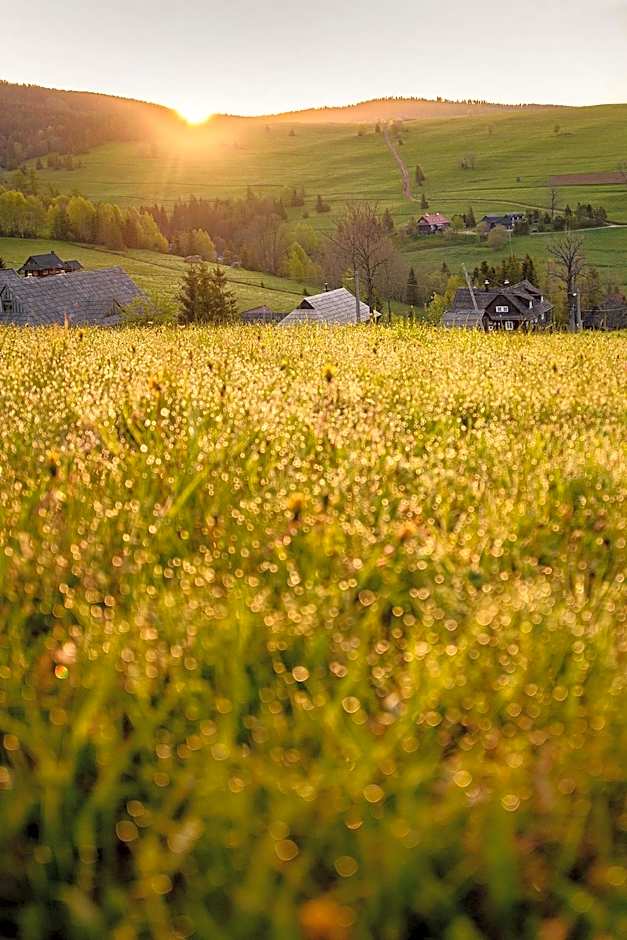 Drevenica Spiaci Goral