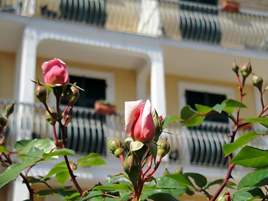 Hotel Miranda
