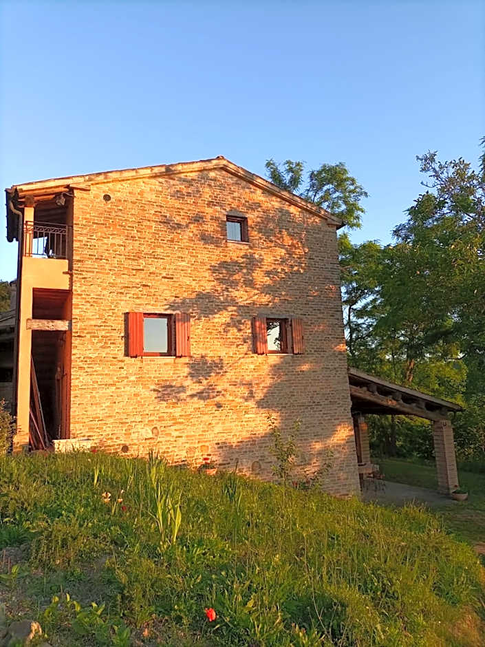 Piccolo Gesto d'Affetto