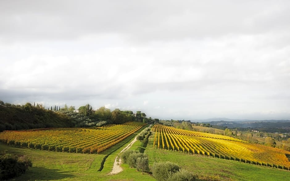 Poderi Arcangelo