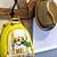 greet Hotel Castres Saix