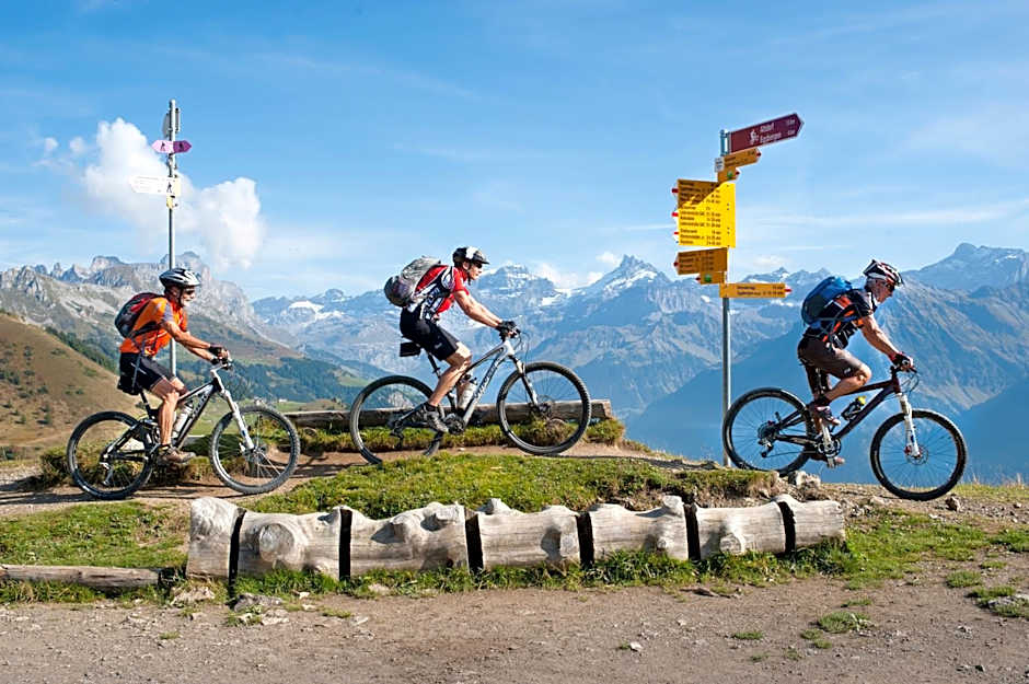 Alphotel Biel-Kinzig - Access by Cable Car only!