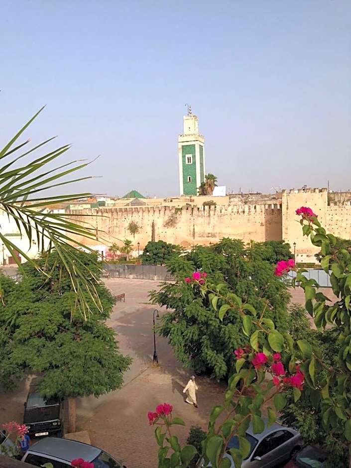 Riad Yacout