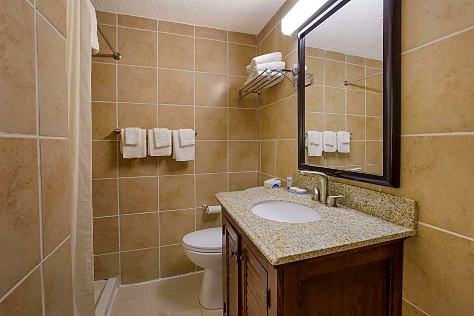 Rodeway Inn