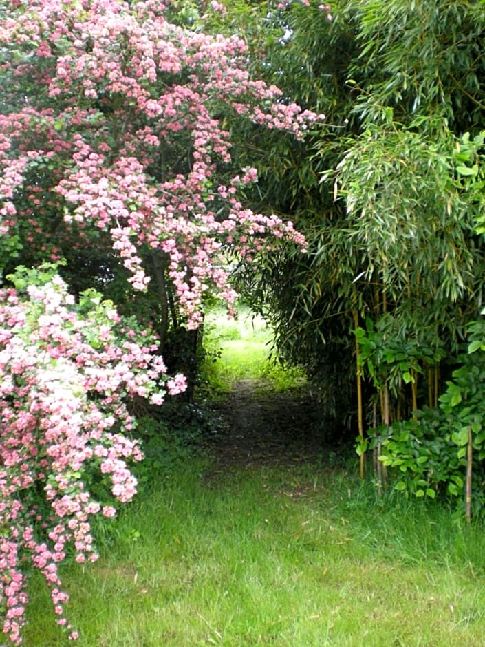 Chambres d'hôtes du Moulin de la Chaussee