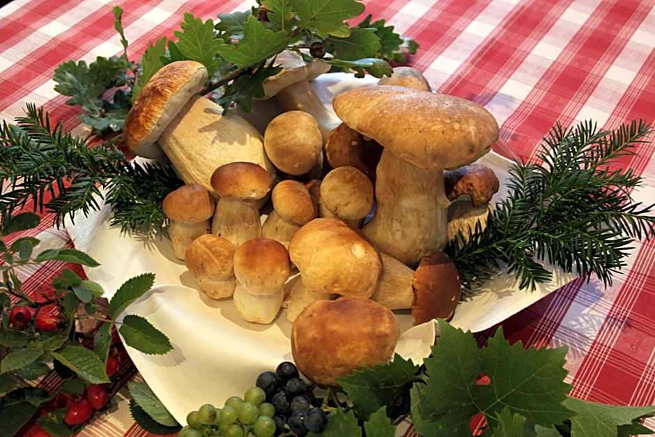 Hotel-Gasthof Die Post Brennerei Frankenhöhe