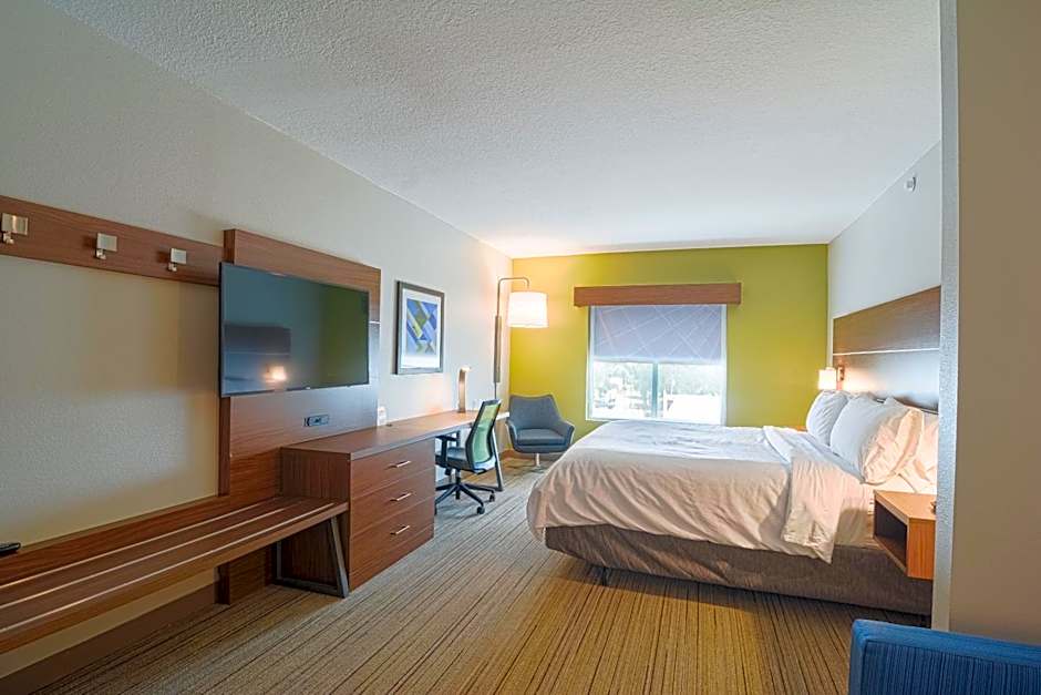 Holiday Inn Express Hotel & Suites Tampa-USF-Busch Gardens By IHG