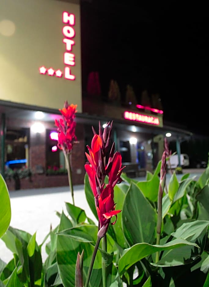 Hotel Wojto