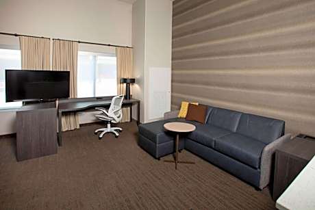 Studio, 1 King, Sofa bed, City view