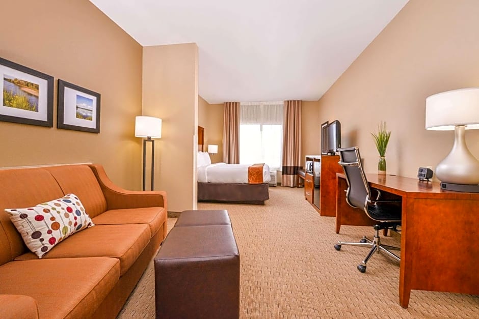 Comfort Suites Mount Vernon