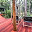 Hidden Valley Forest Retreat