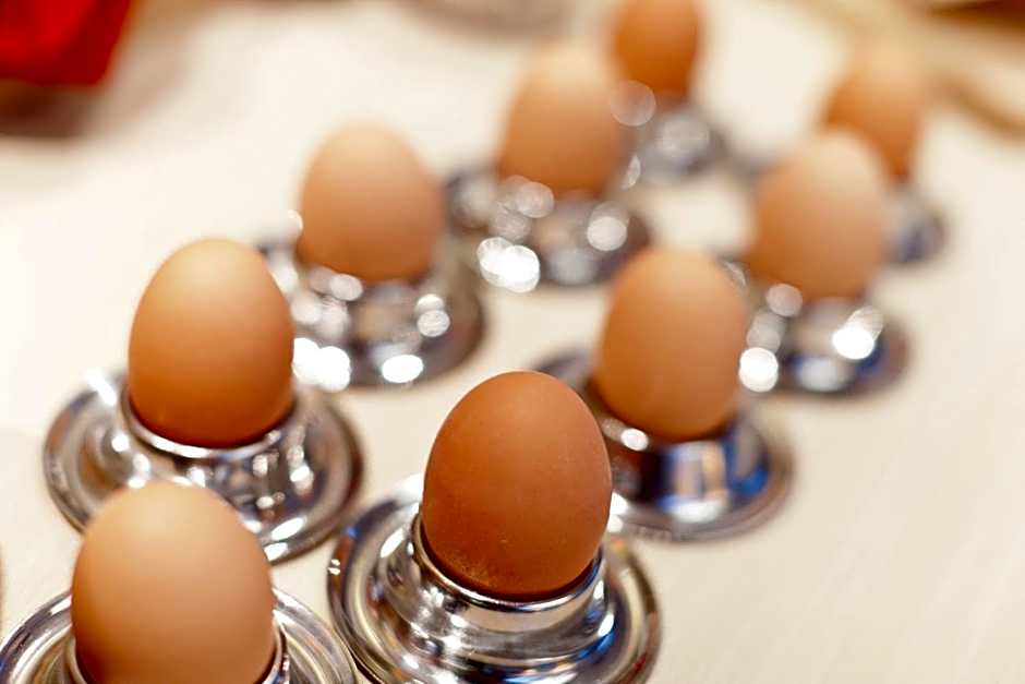 Hotel Thalhof am See