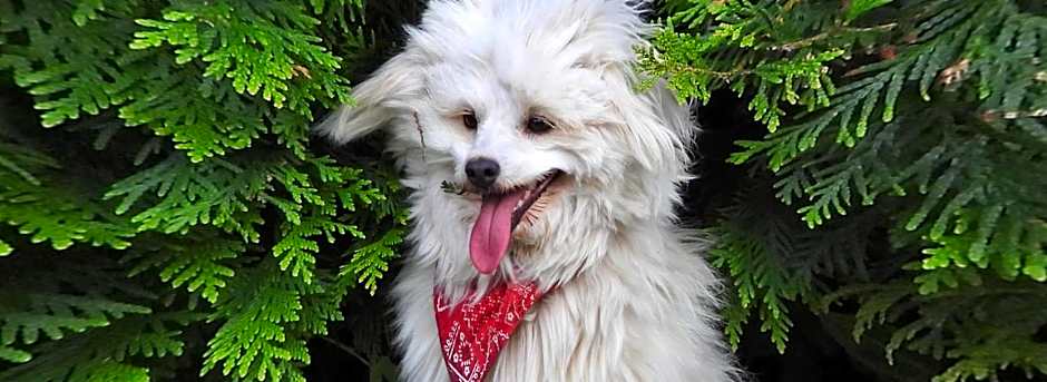 Agroturystyka Klekusiowo