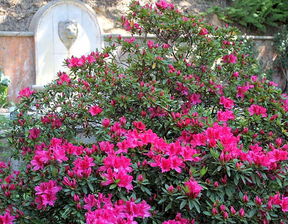 Hôtel Chantaco Golf & Wellness