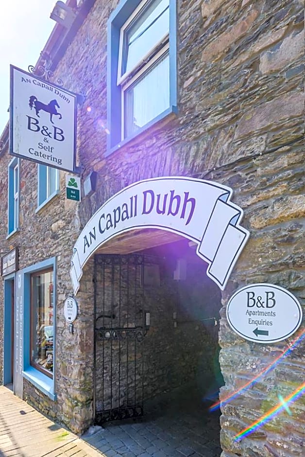 An Capall Dubh B&B Dingle
