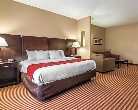 1 King Bed, Suite, Nonsmoking