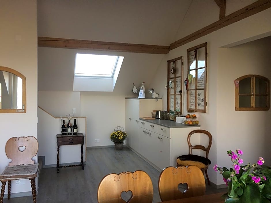 B&B Friedau