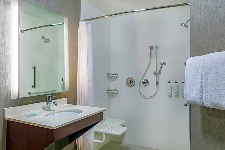SpringHill Suites by Marriott Norfolk Virginia Beach