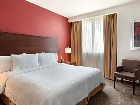 1 King Bed with Terrace