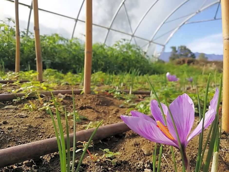 Cascina Borgofrancone