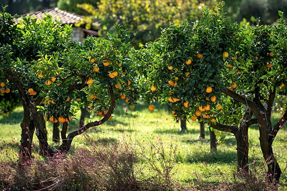 Mitsis Alexander the Great Hotel