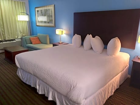 1 King Bed Non-Smoking