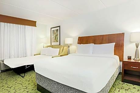 1 King Bed with Sofa Bed