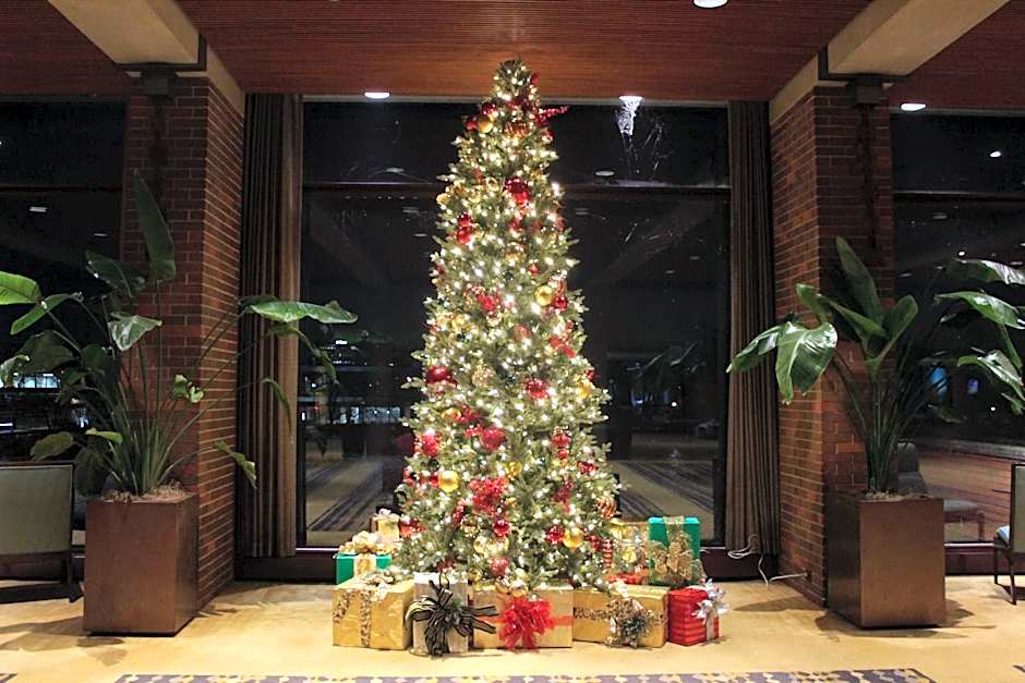 Hyatt Lodge Oak Brook Chicago