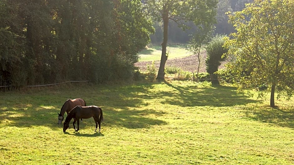 La Passiflore B&B