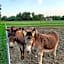 Azienda Agrituristica Ai Prai