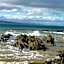 Kaka Point Motels