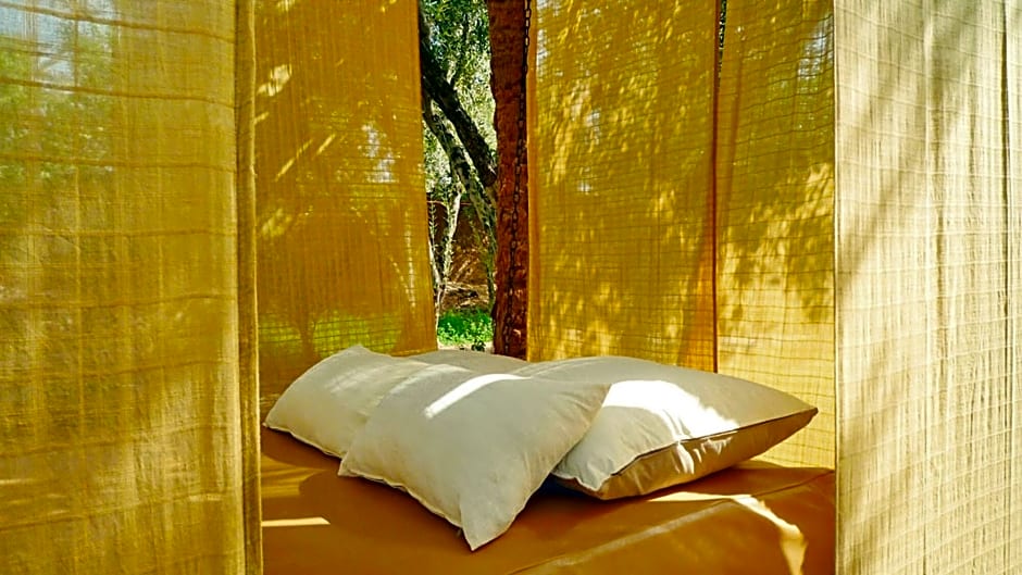 Les Jardins De Skoura