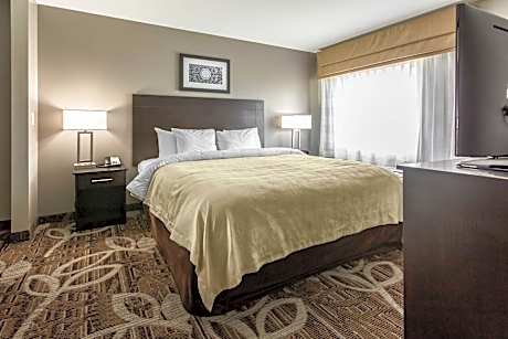 1 King Bed, Suite, Nonsmoking