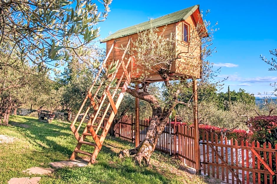 L'Agrifoglio di Assisi Residenza di Campagna