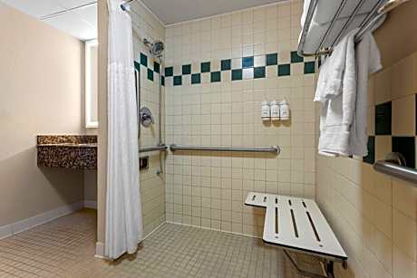 Deluxe King Suite
