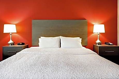 King Studio Suite with Sofa Bed - Non-Smoking