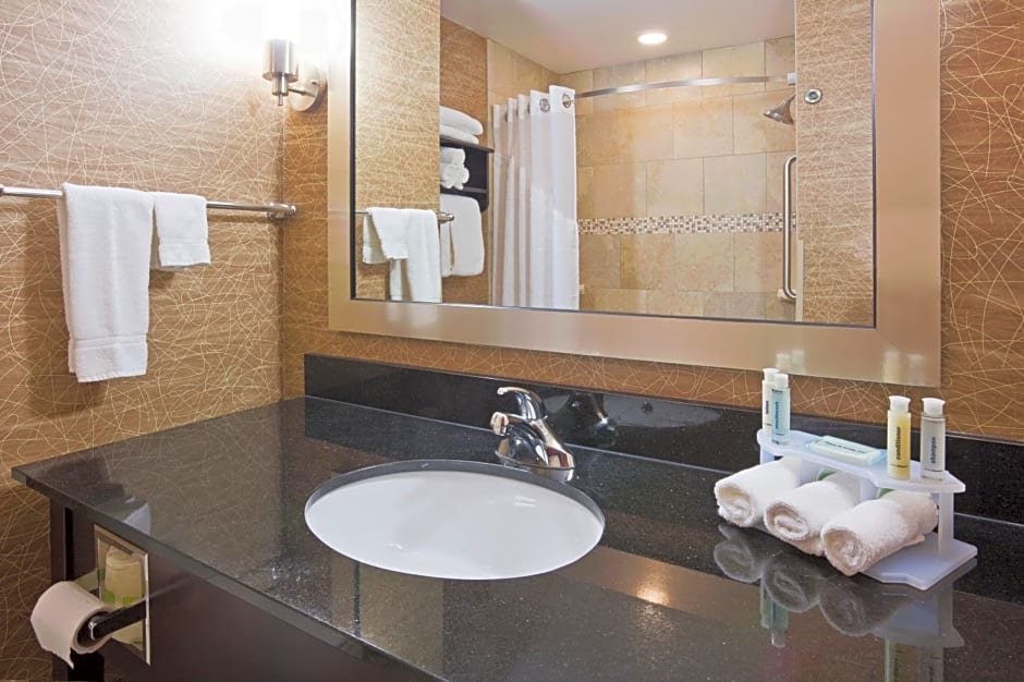 Holiday Inn Express and Suites Rochester West-Medical Center By IHG