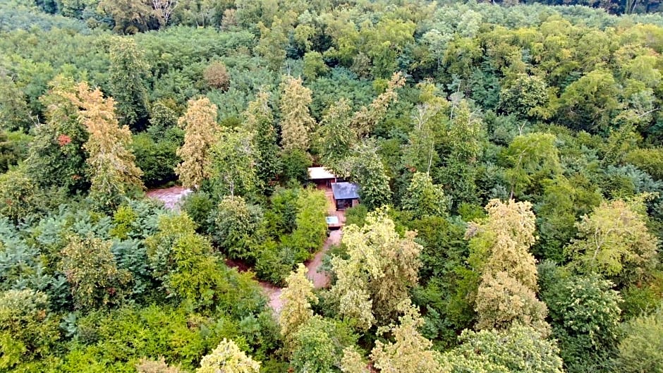 EcoLodge So Wood 33